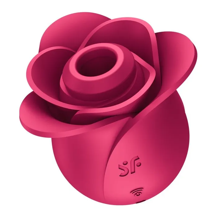 Vibrators Satisfyer Satisfyer Pro 2 Modern Blossom Air Wave Clitoral Stimulator Pink