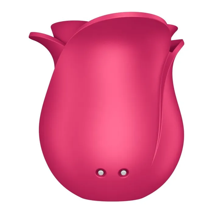 Vibrators Satisfyer Satisfyer Pro 2 Modern Blossom Air Wave Clitoral Stimulator Pink