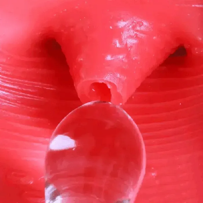 Male Sex Toys EVEs SECRETS Real Pussy Vagina Sex Toy Mans Masturbation Cup Adult Realistic Licking Toy