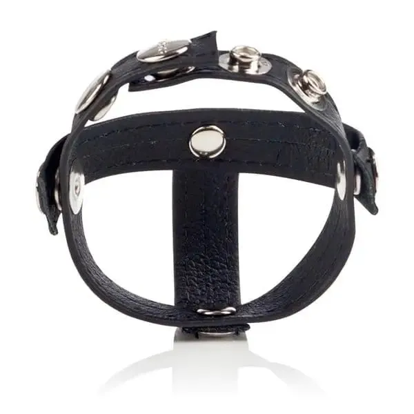 CalExotics Couples Colt Leather Hpiece Divider