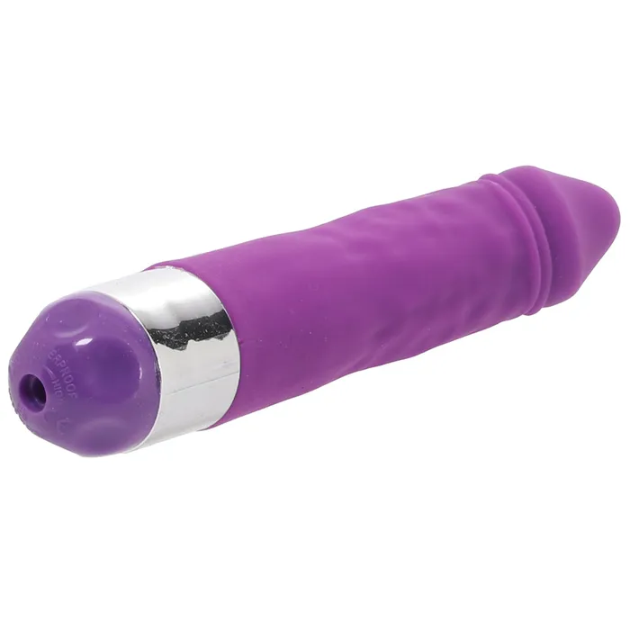 CalExotics Vibrators Shanes World Silicone Buddy Vibe in Purple