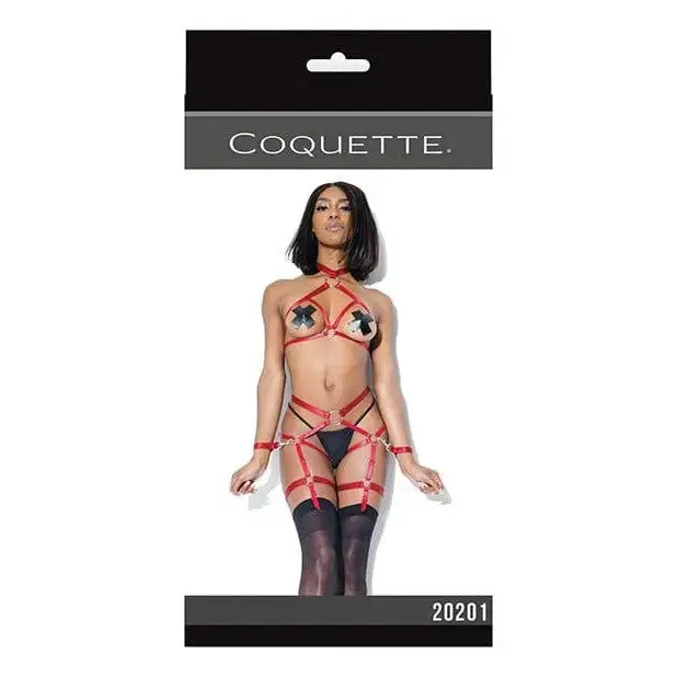 Darque Harness Halter Top Crotchless Panty Garters Restraints by Coquette Coquette Female Sex Toys Darque Harness Halter Top Crotchless Panty Garters Restraints by Coquette Coquette Female Sex Toys