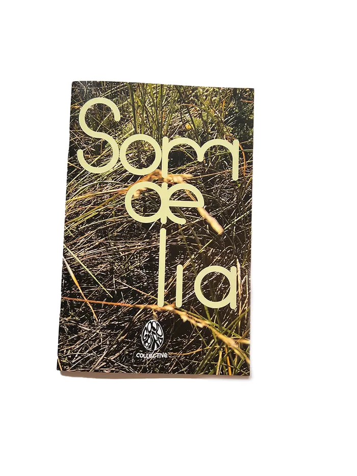 somlia SelfPublished Vibrators