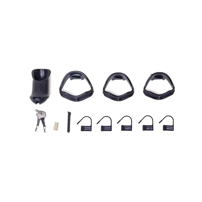 THE RENEGADE Chastity Cage with Built in Lock SM Domain Male Sex Toys