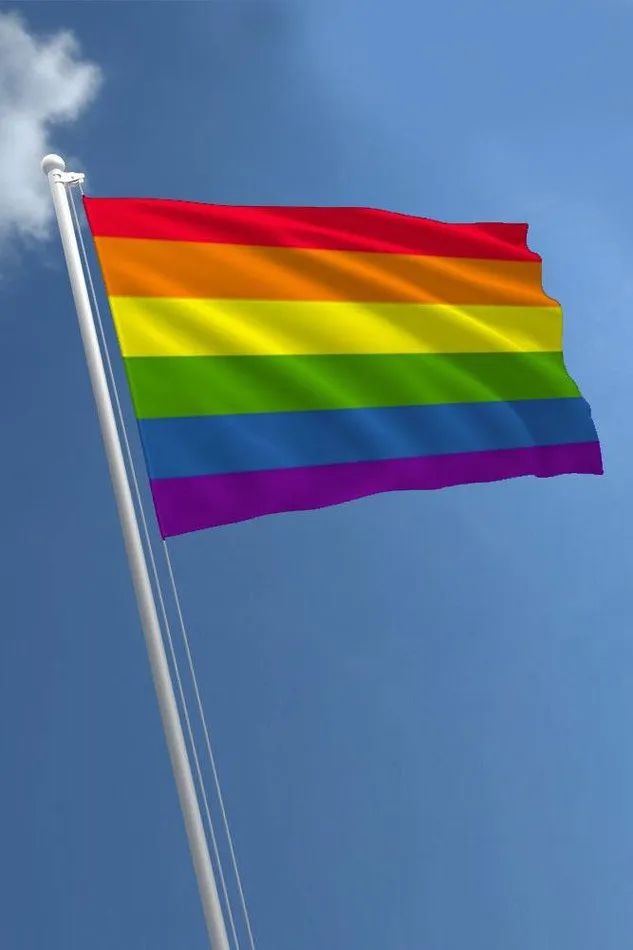 Anal MJM Pride Flag Rainbow 2 x 3