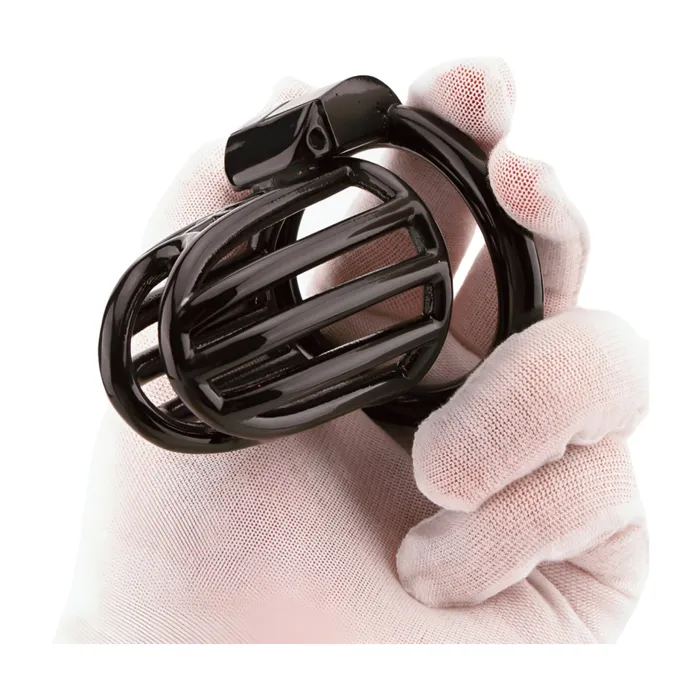 Large Prince Albert Optimized Chastity Oxyshop Male Sex Toys