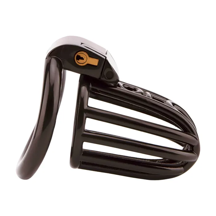 Large Prince Albert Optimized Chastity Oxyshop Male Sex Toys